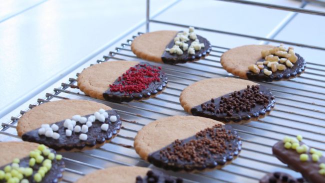 391edf8d-68a7-42b3-bc98-108d434442ae