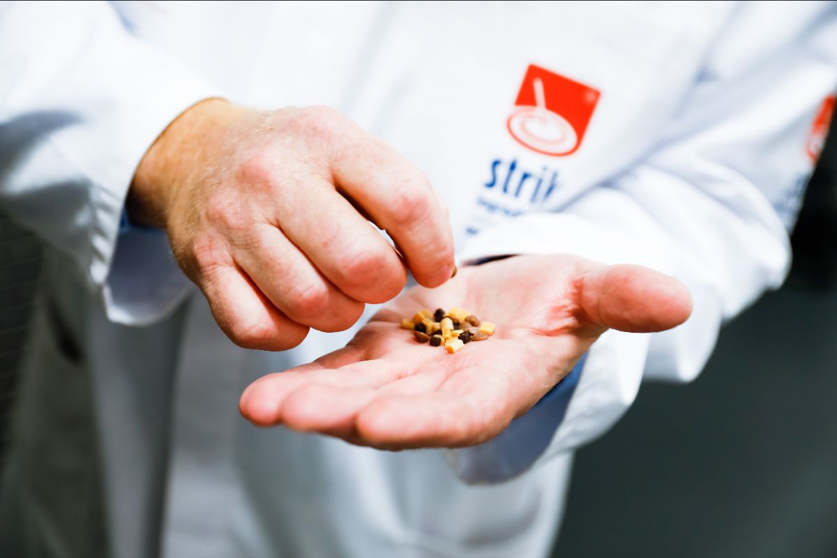 c34a7fc5-6d71-4ecd-aad0-9c4c384147ce