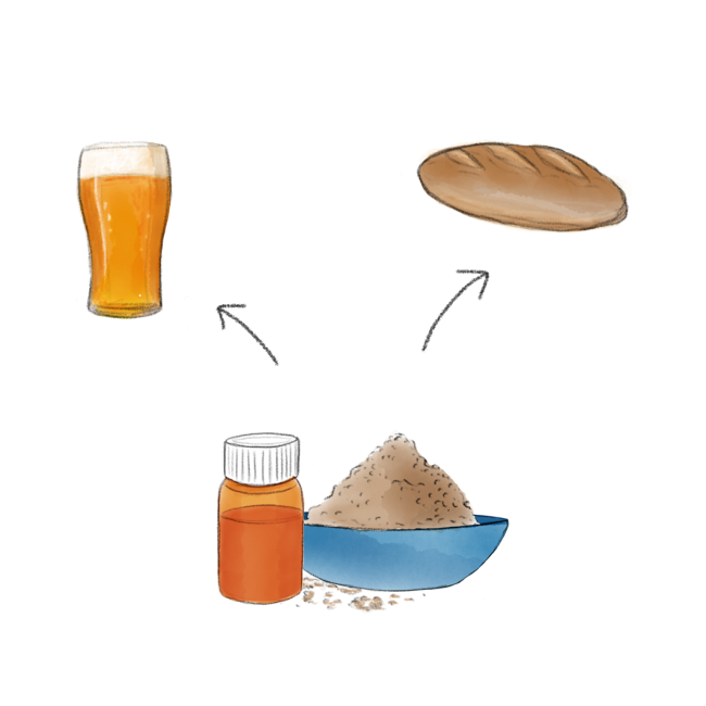 Gekarameliseerde suikers & melkpoeders