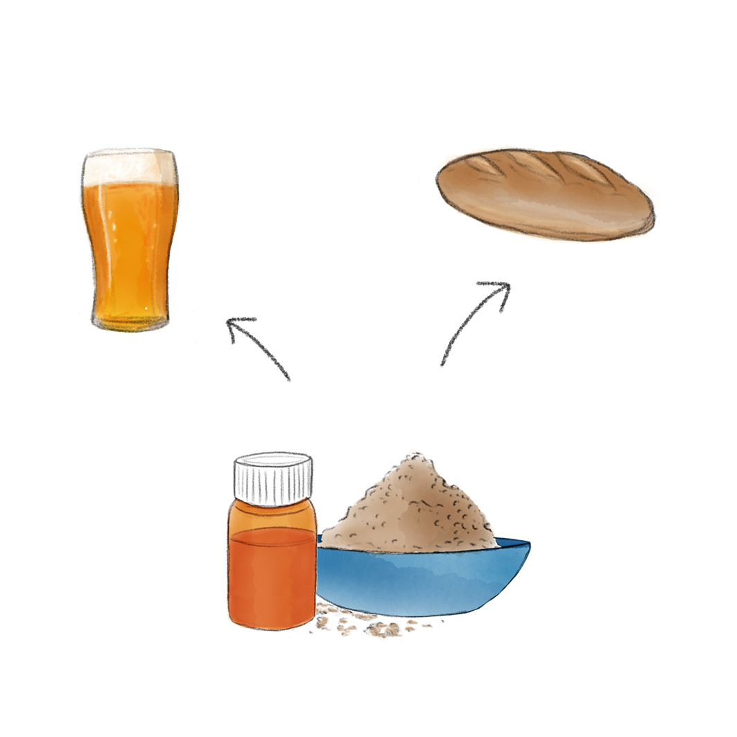 Koch Gekarameliseerde suikers & melkpoeders