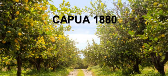 a6092145-c3aa-494e-af3d-dfb205b9af7b